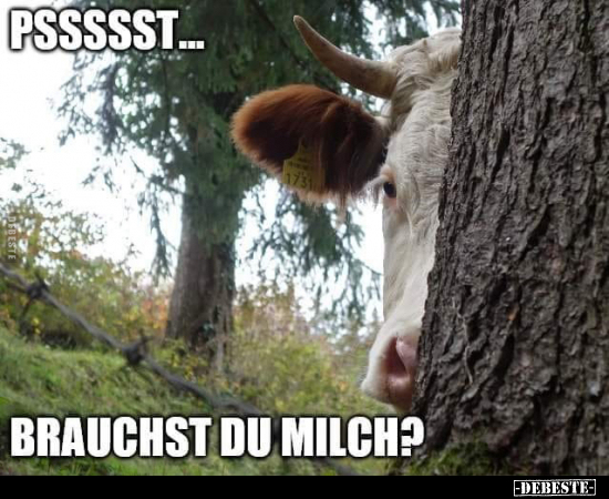 Pssssst... brauchst du Milch?.. - Lustige Bilder | DEBESTE.de