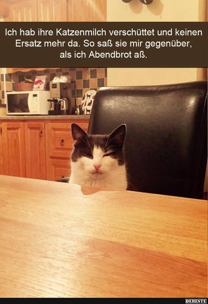 Ich hab ihre Katzenmilch verschüttet und keinen.. - Lustige Bilder | DEBESTE.de