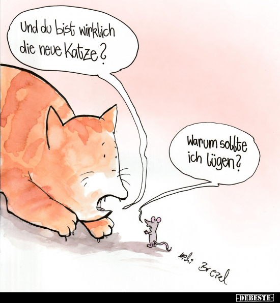 Neue, Katze, Lügen