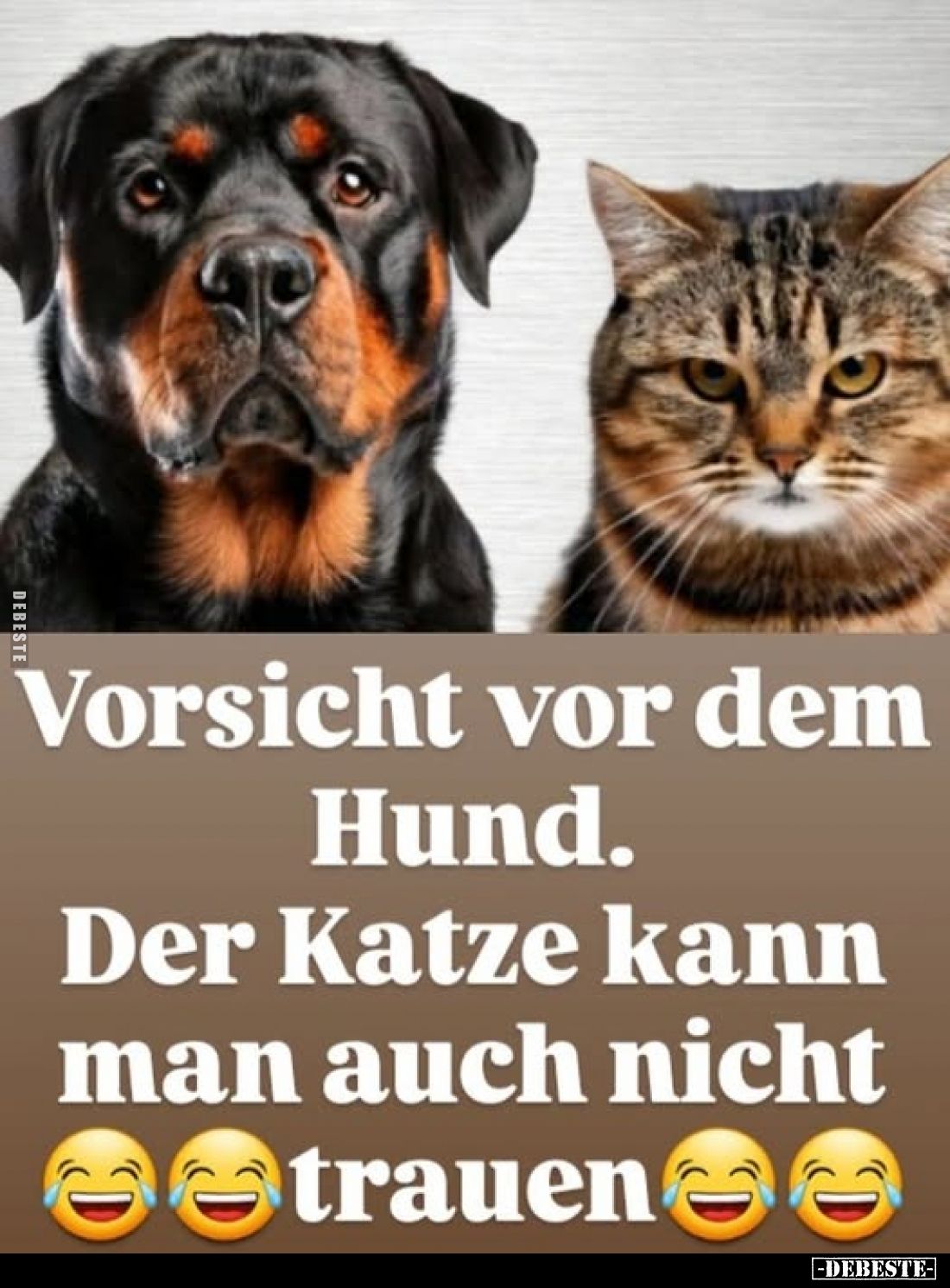 Vorsicht vor dem Hund.
Der Katze kann man auch nicht trauen.