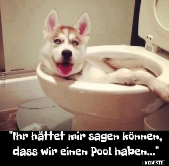 "Ihr hättet mir sagen können, dass wir einen Pool haben.." - Lustige Bilder | DEBESTE.de