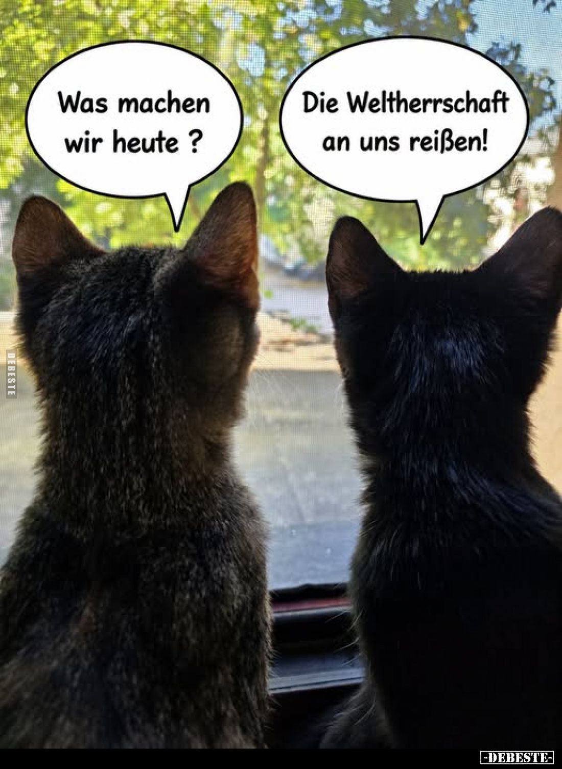 Was machen wir heute ?
Die Weltherrschaft an uns reißen!