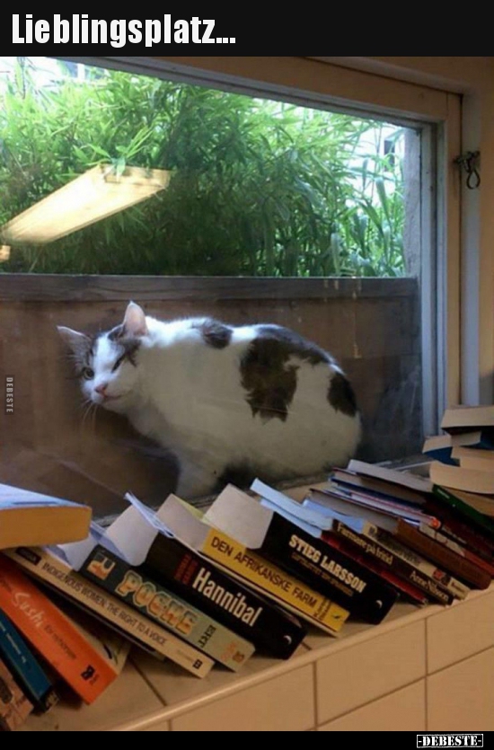 Lieblingsplatz...
