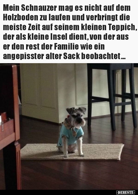 Mein Schnauzer mag es nicht auf dem Holzboden zu laufen und..