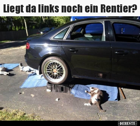 Liegt da links noch ein Rentier?..