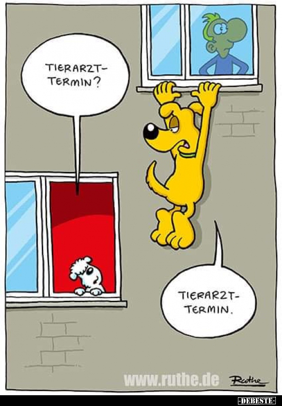 Tierarzt-Termin?.. - Lustige Bilder | DEBESTE.de