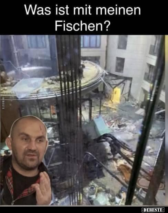 Was ist mit meinen Fischen?.. - Lustige Bilder | DEBESTE.de