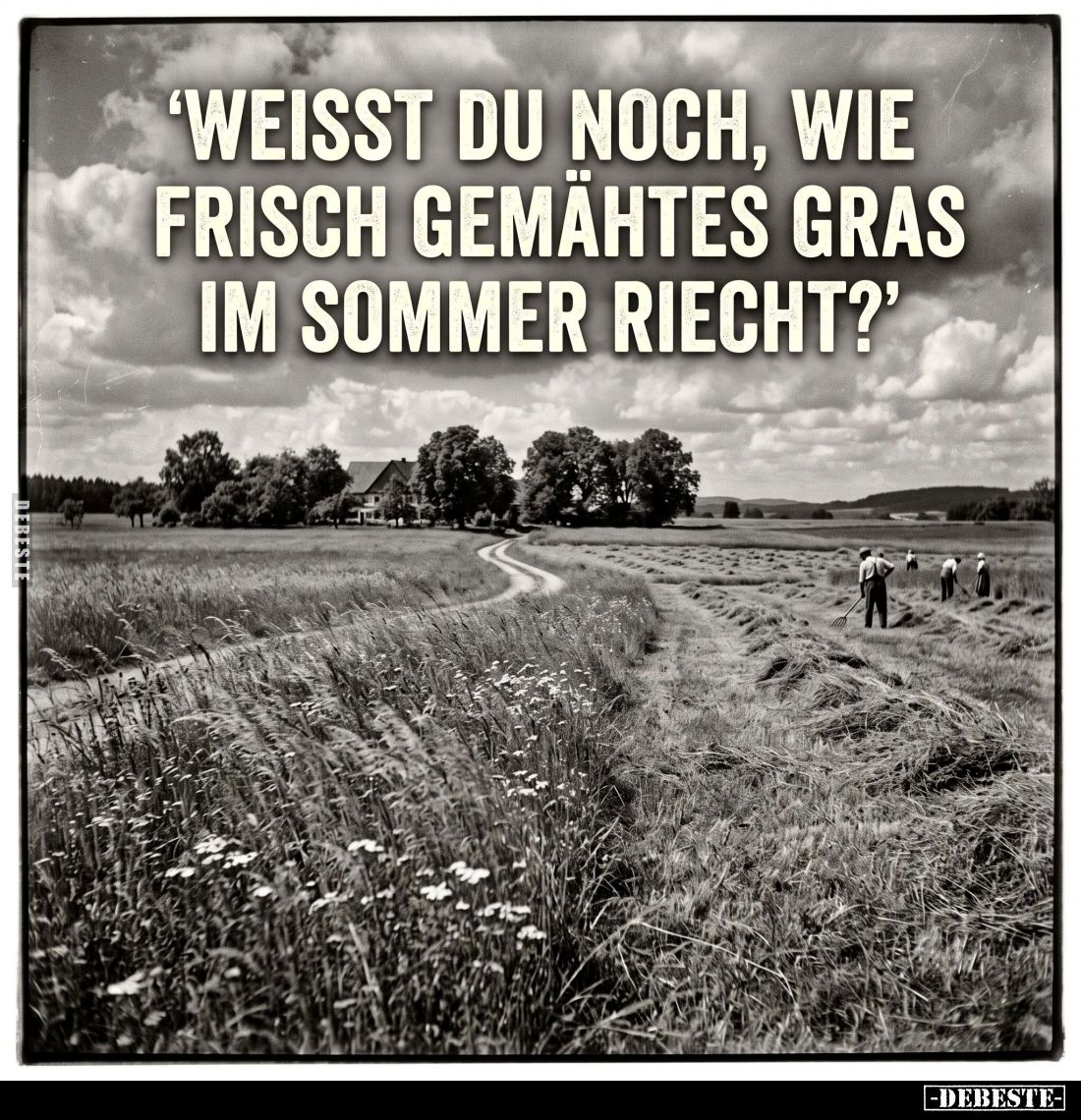 'Weisst du noch, wie frisch gemähtes Gras im Sommer..' - Lustige Bilder | DEBESTE.de