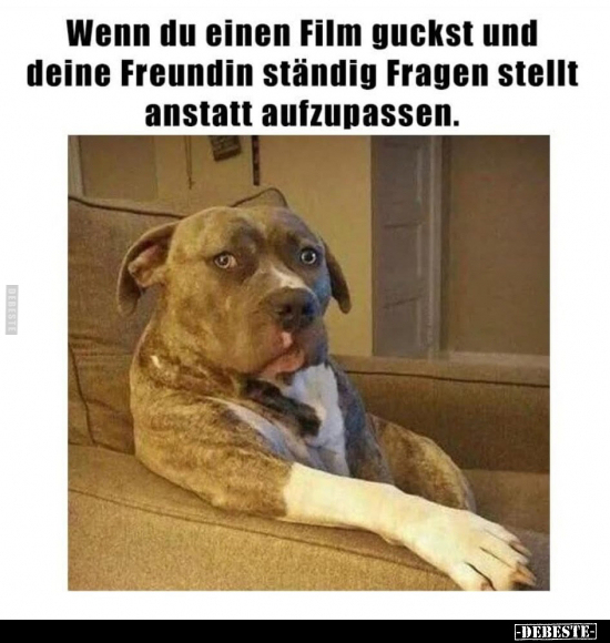 Wenn du einen Film guckst und deine Freundin ständig Fragen.. - Lustige Bilder | DEBESTE.de