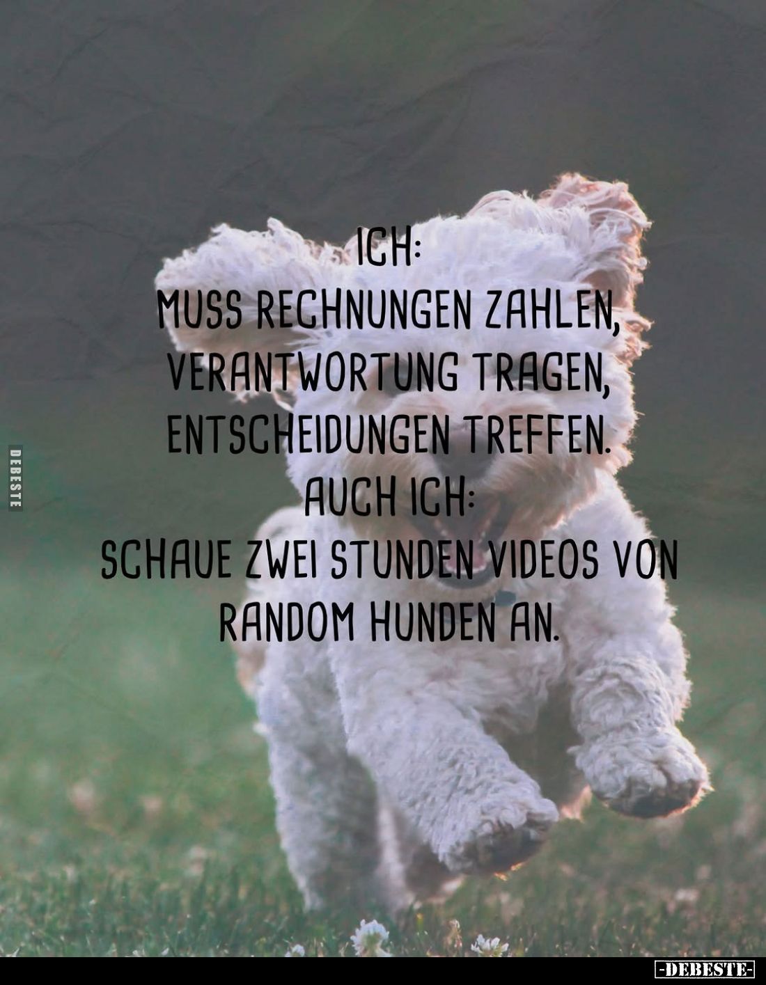 Ich: Muss Rechnungen zahlen, Verantwortung tragen, Entscheidungen treffen.
Auch ich: Schaue zwei Stunden Videos von random H...