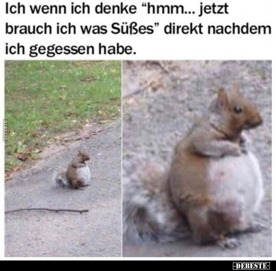 Ich wenn ich denke "hmm... jetzt brauch ich was Süßes".. - Lustige Bilder | DEBESTE.de