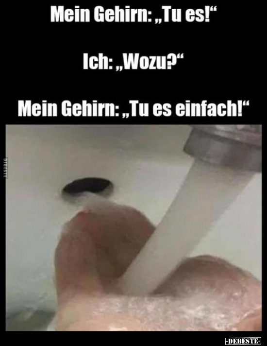 Mein Gehirn: "Tu es!" Ich: "Wozu?" Mein Gehirn: "Tu es einfach!"