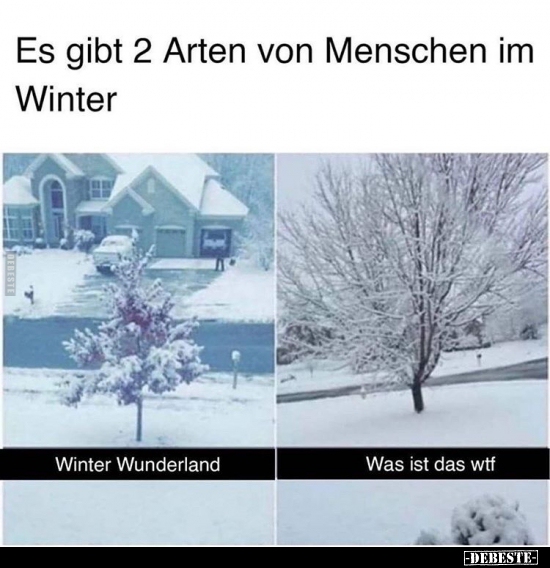 Es gibt 2 Arten von Menschen im Winter.. - Lustige Bilder | DEBESTE.de