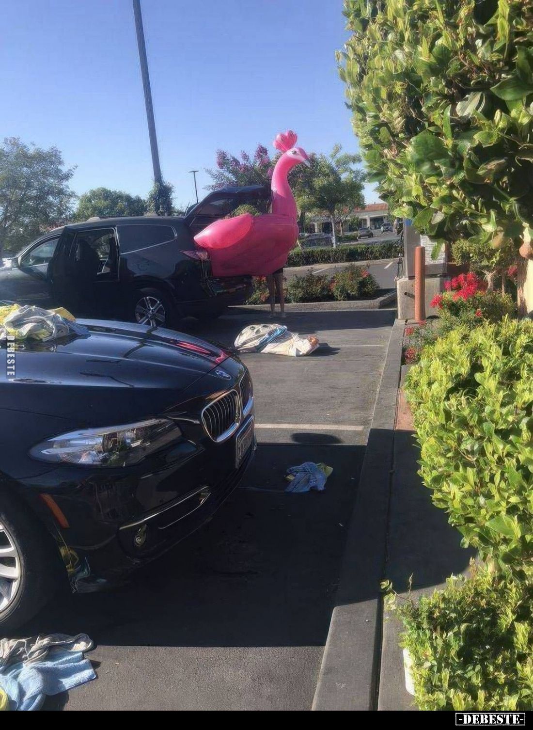  - Lustige Bilder | DEBESTE.de