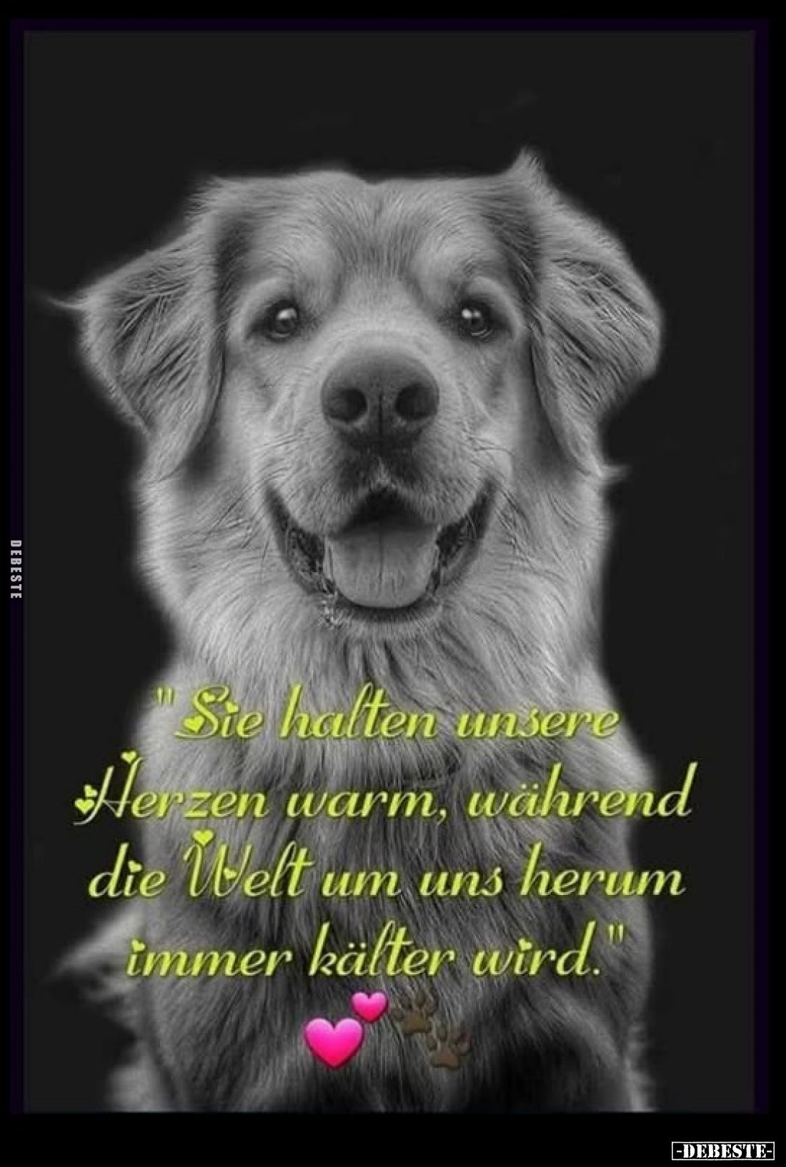 "Sie halten unsere Herzen warm, während die Welt um uns herum immer kälter wird."