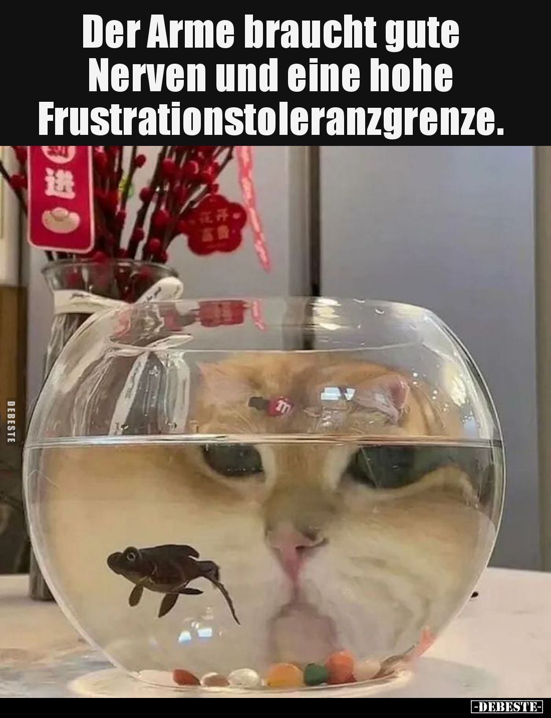 Der Arme braucht gute Nerven... - Lustige Bilder | DEBESTE.de