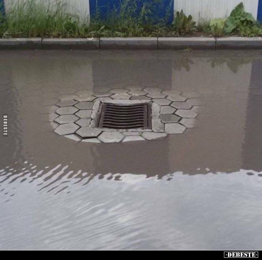  - Lustige Bilder | DEBESTE.de