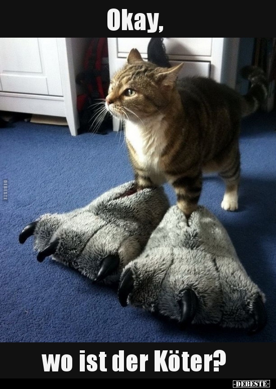 Okay, wo ist der Köter?..