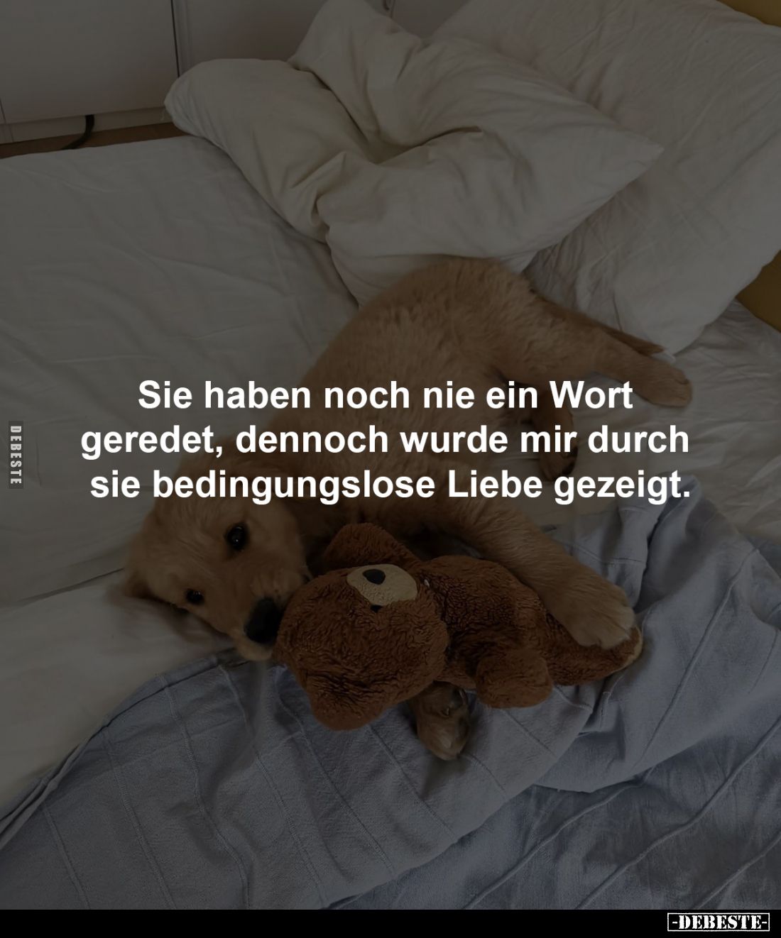 Sie haben noch nie ein Wort
geredet, dennoch wurde mir durch
sie bedingungslose Liebe gezeigt.