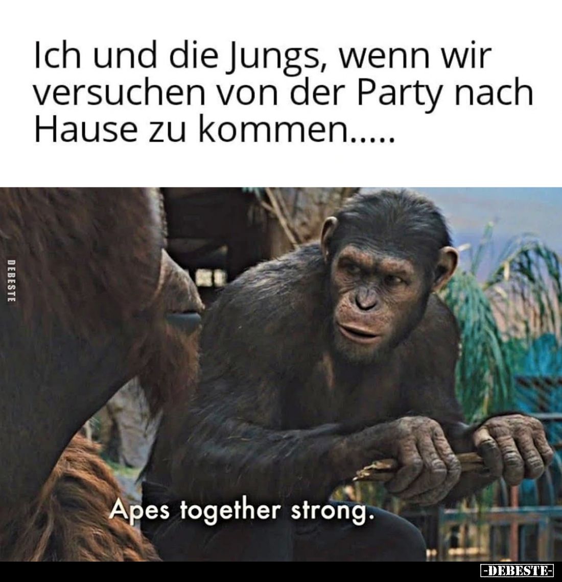 Ich und die Jungs, wenn wir versuchen von der Party nach Hause zu kommen.....