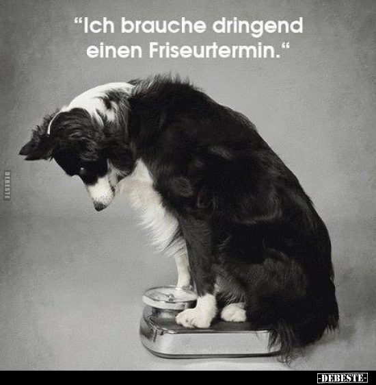 "Ich brauche dringend einen, Friseurtermin.".. - Lustige Bilder | DEBESTE.de