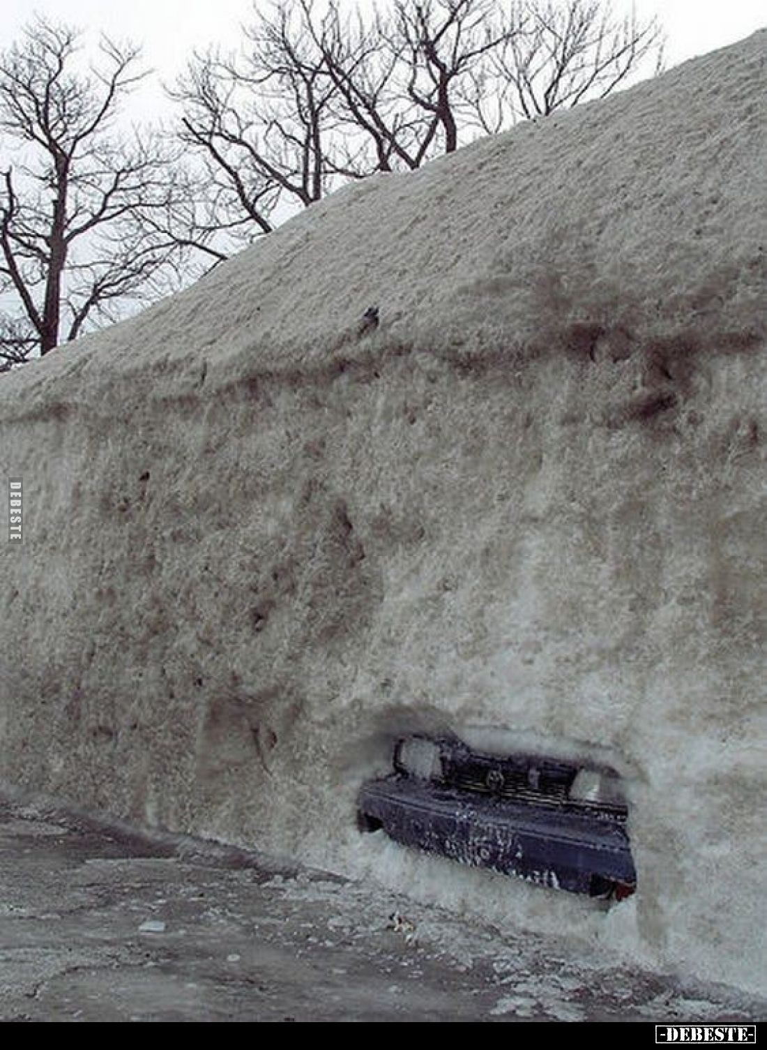  - Lustige Bilder | DEBESTE.de