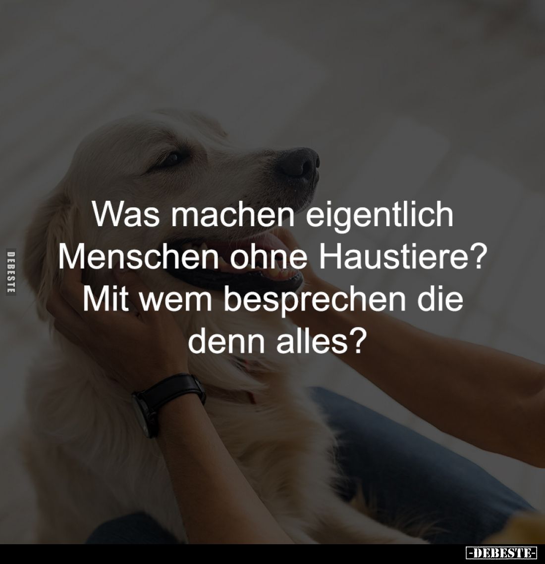 Was machen eigentlich 
Menschen ohne Haustiere? 
Mit wem besprechen die 
denn alles?