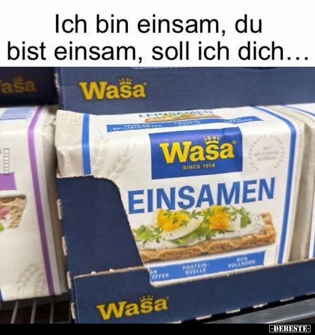 Ich bin einsam, du bist einsam, soll ich dich...