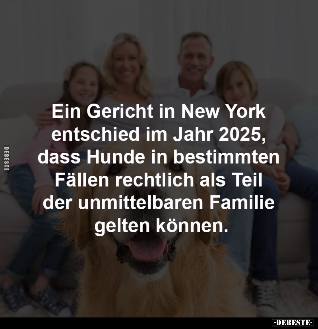 Ein Gericht in New York 
entschied im Jahr 2025, 
dass Hunde in bestimmten 
Fällen rechtlich als Teil 
der unmittelbaren ...