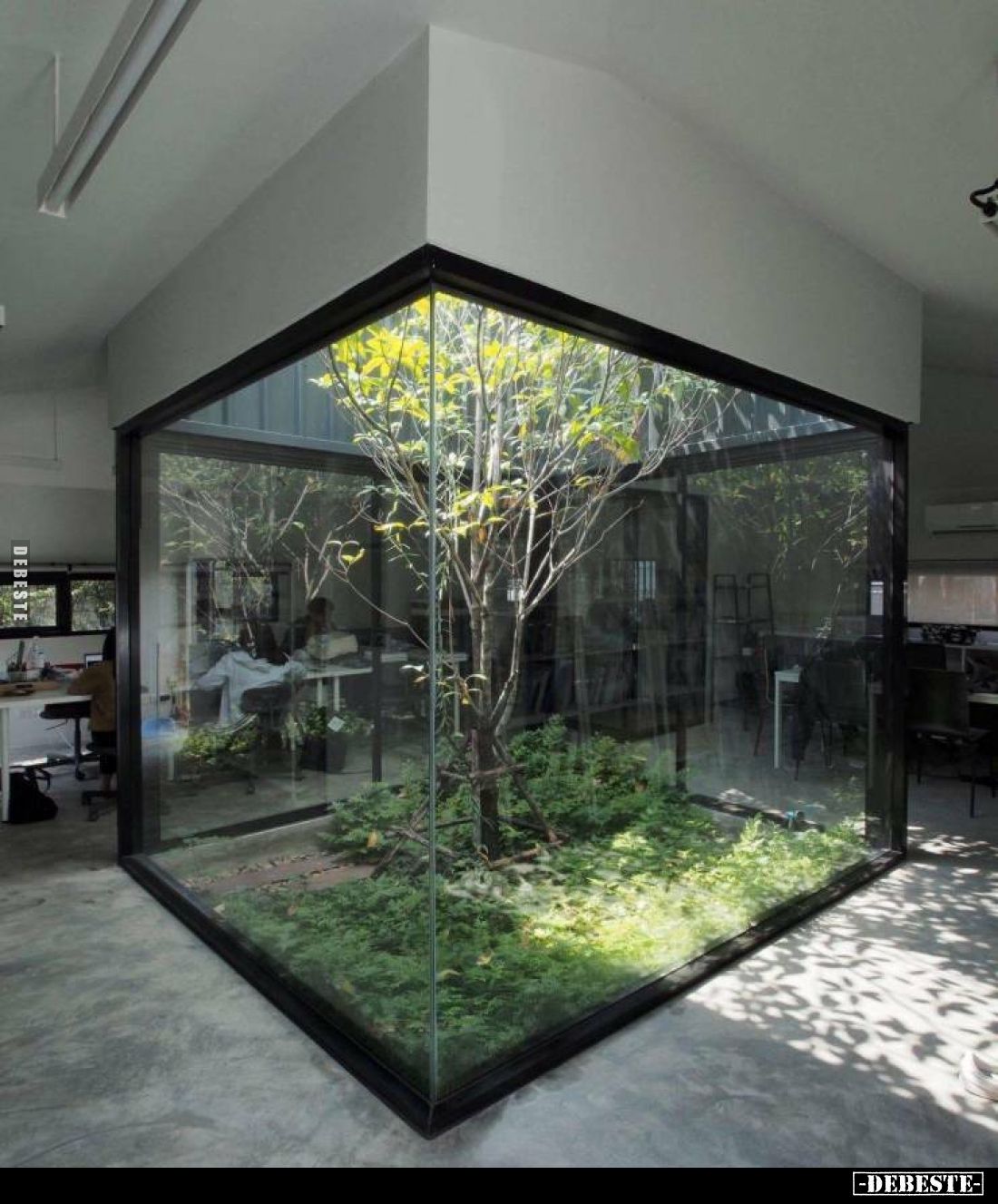  - Lustige Bilder | DEBESTE.de