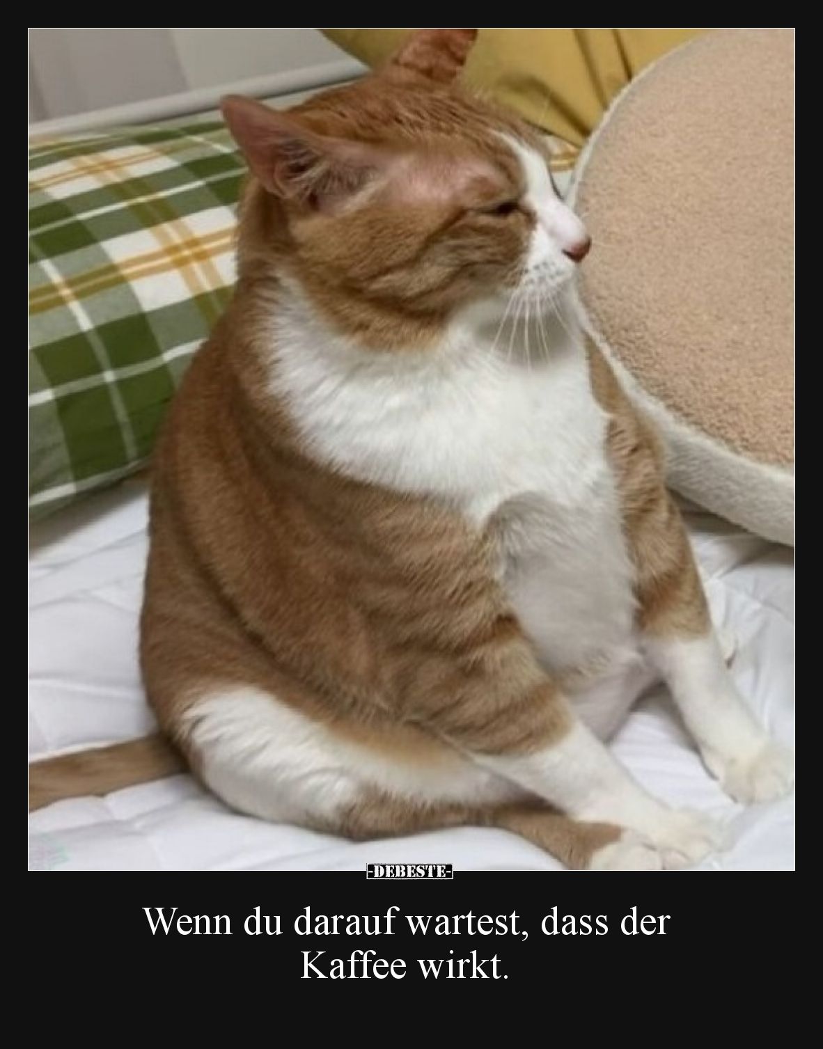 Wenn du darauf wartest, dass der Kaffee wirkt.