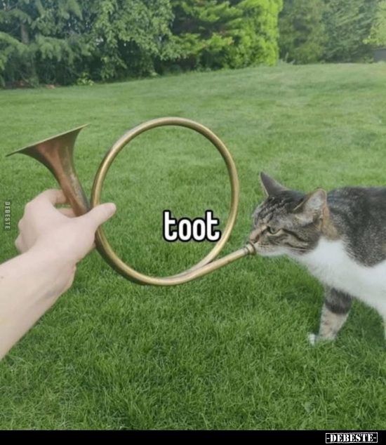 toot