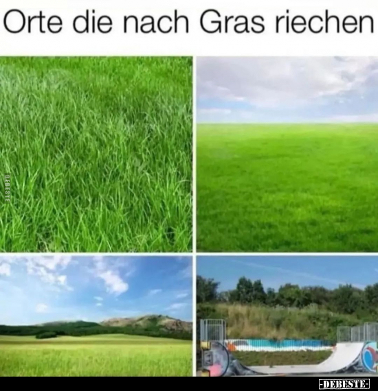 Orte die nach Gras riechen.. - Lustige Bilder | DEBESTE.de