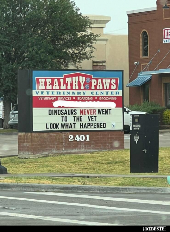 Healty Paws