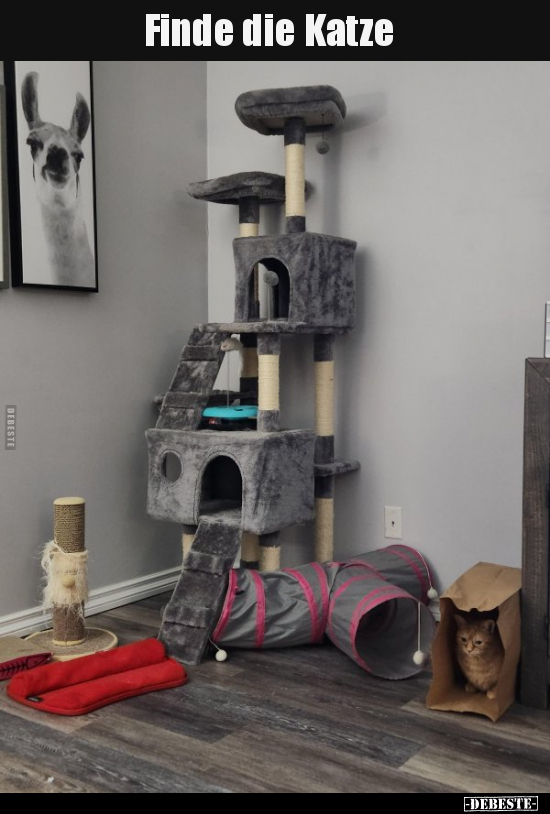 Finde die Katze..