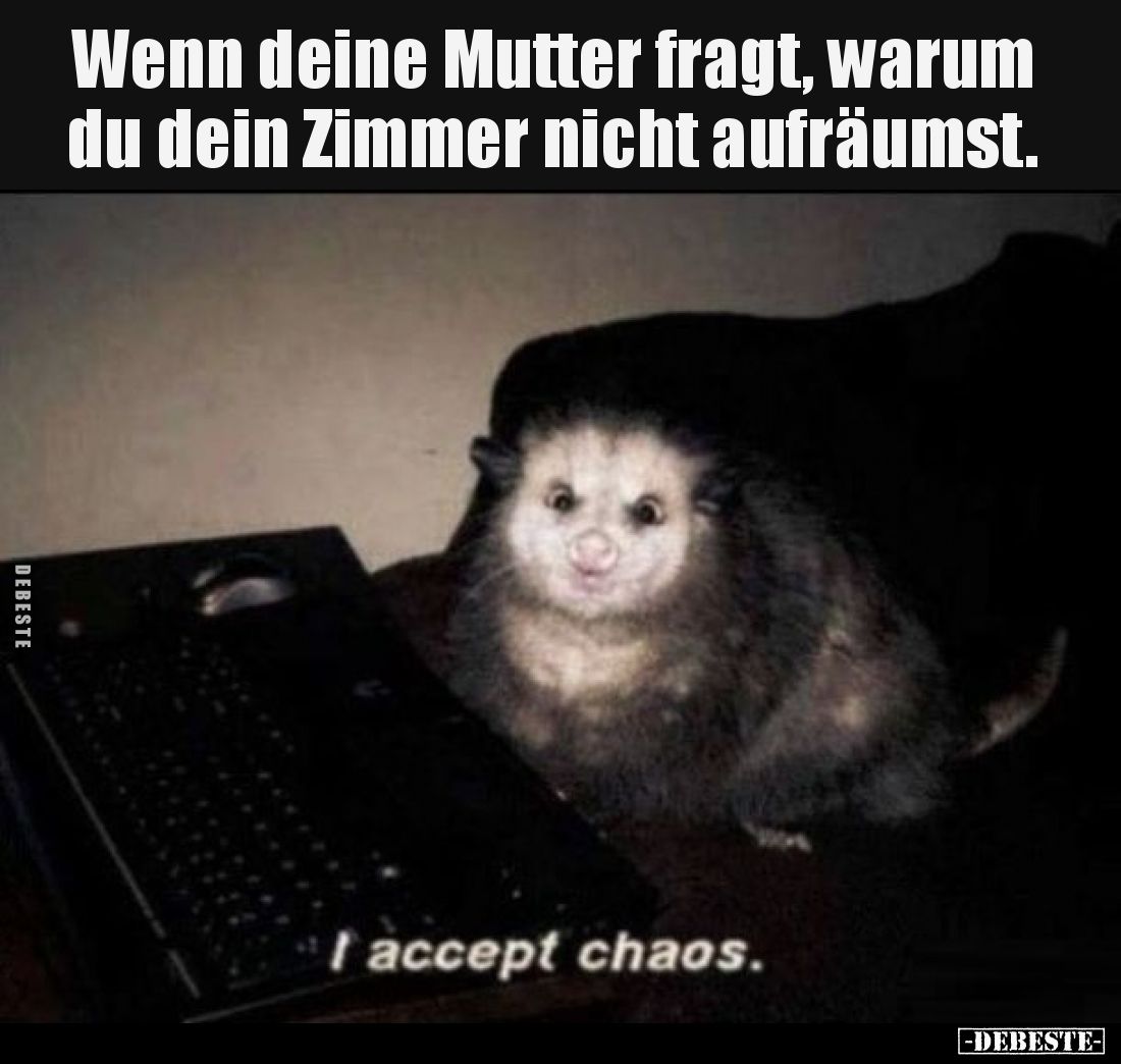Wenn deine Mutter fragt, warum du dein Zimmer nicht aufräumst.