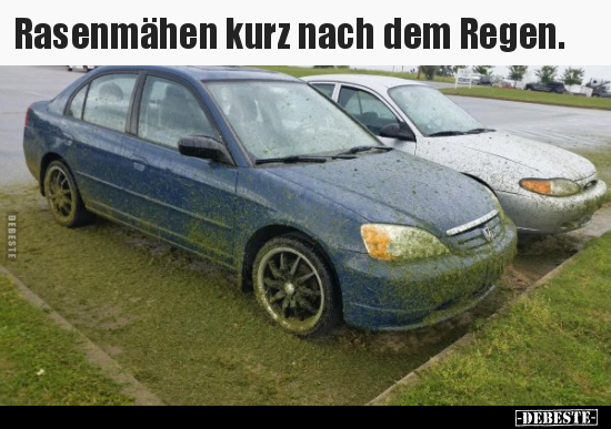 Rasenmähen kurz nach dem Regen... - Lustige Bilder | DEBESTE.de