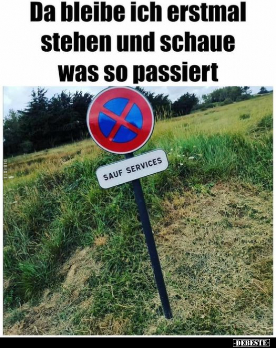 Da bleibe ich erstmal stehen und schaue was so passiert.. - Lustige Bilder | DEBESTE.de