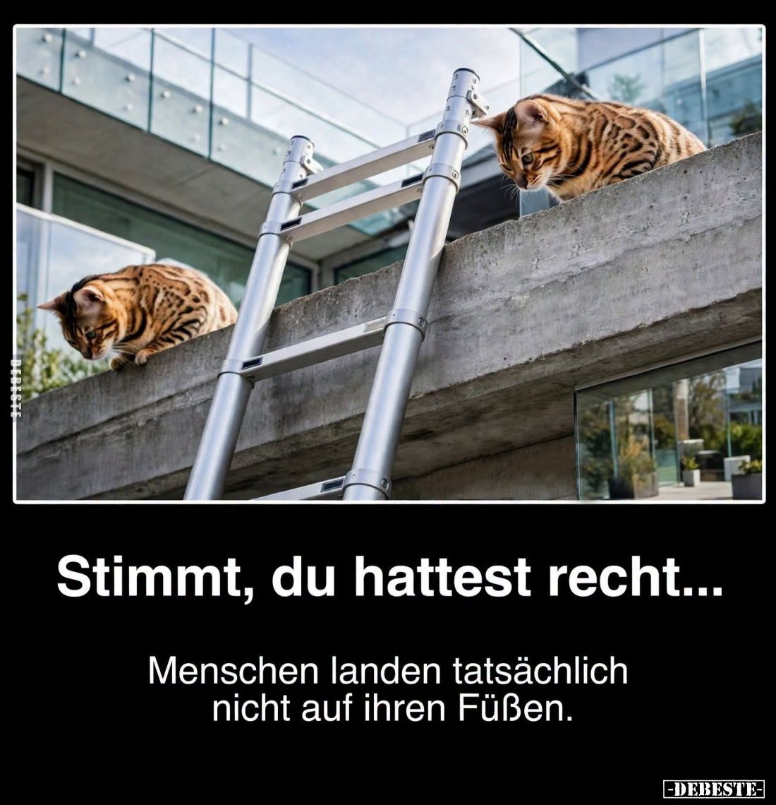 Stimmt, du hattest recht...
Menschen landen tatsächlich nicht auf ihren Füßen.