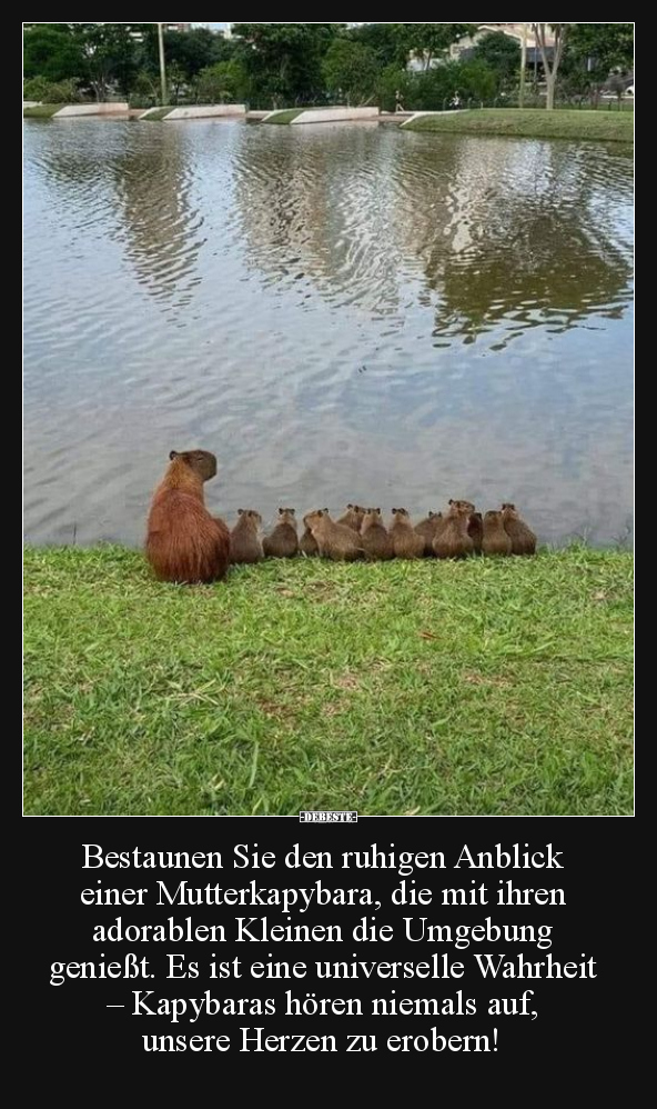 Bestaunen Sie den ruhigen Anblick einer Mutterkapybara.. - Lustige Bilder | DEBESTE.de