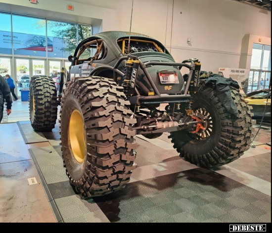  - Lustige Bilder | DEBESTE.de