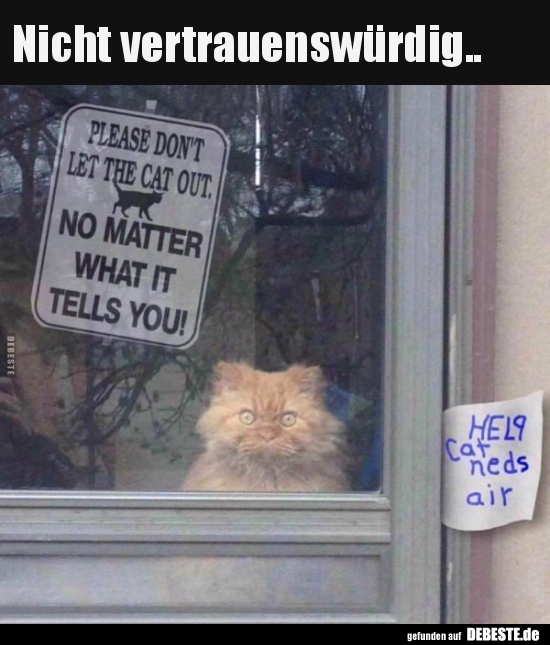 Nicht vertrauenswürdig..