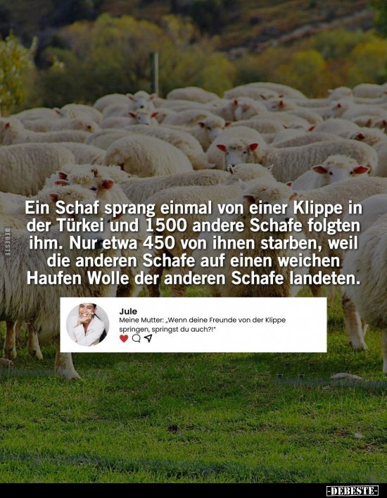 Ein Schaf sprang einmal von einer Klippe in der Türkei.. - Lustige Bilder | DEBESTE.de