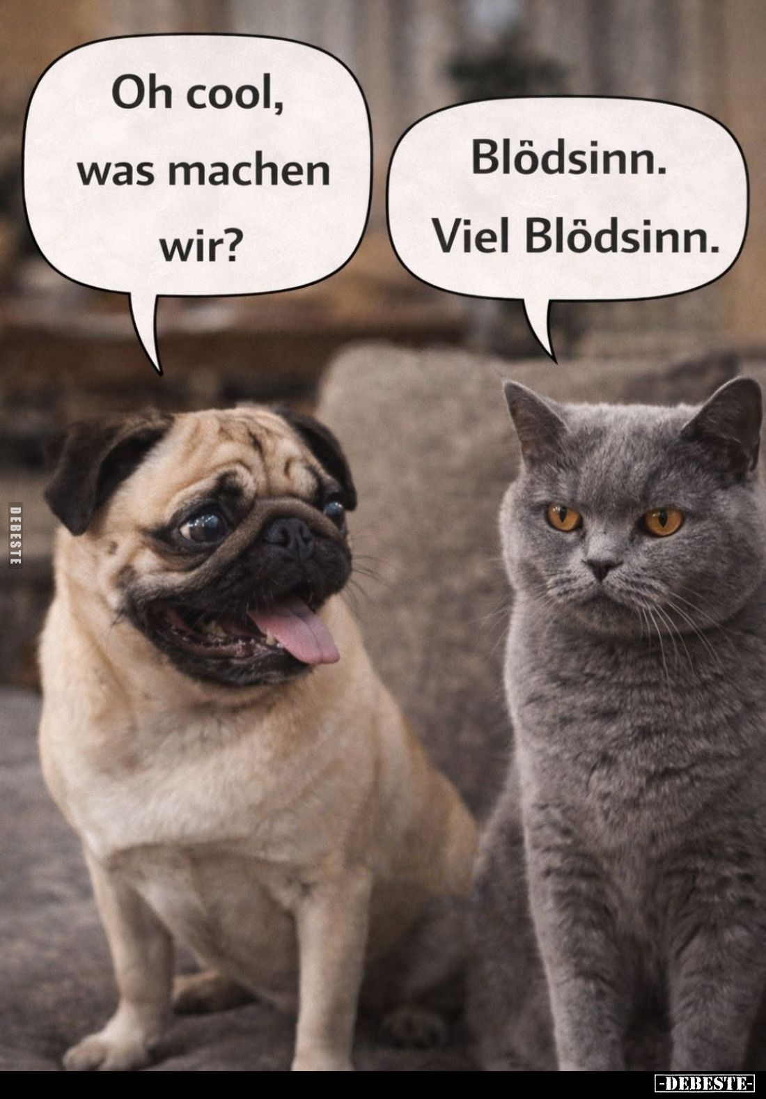 Oh cool, was machen wir? -
Blödsinn. Viel Blödsinn.