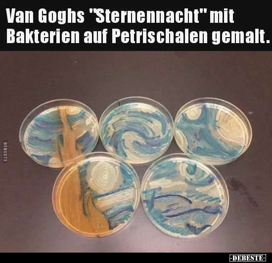 Van Goghs "Sternennacht" mit Bakterien auf Petrischalen.. - Lustige Bilder | DEBESTE.de