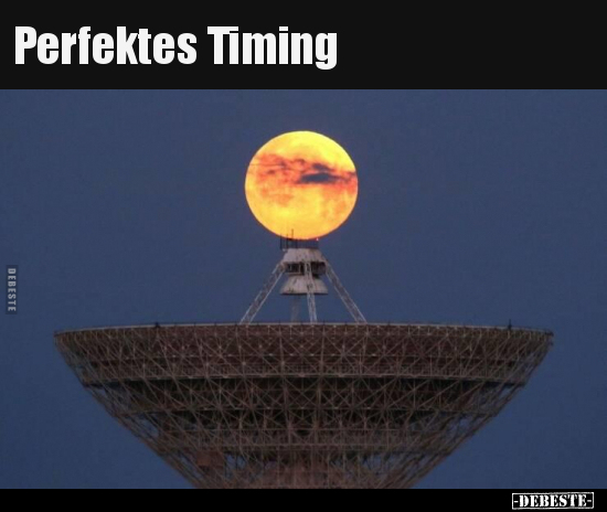 Perfektes Timing