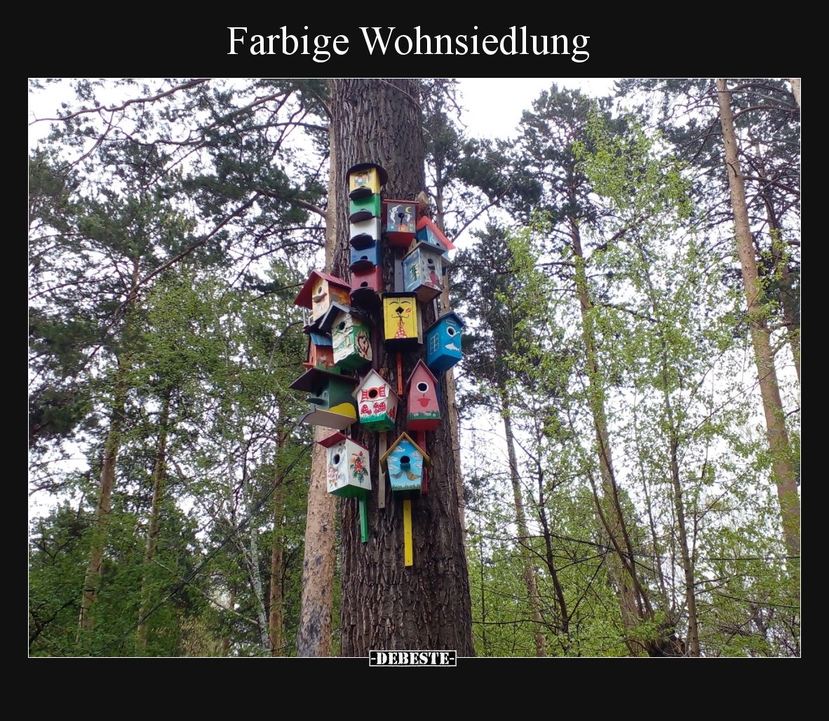 Farbige Wohnsiedlung