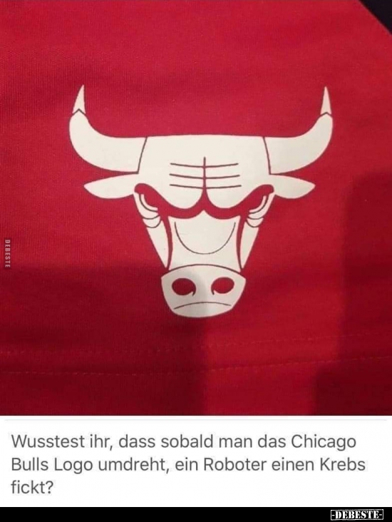 Wusstest ihr, dass sobald man das Chicago Bulls Logo.. - Lustige Bilder | DEBESTE.de