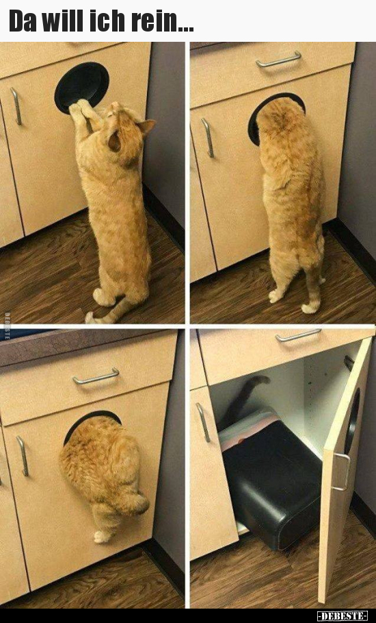 Da will ich rein...