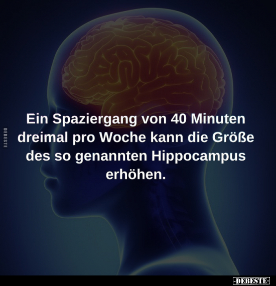 Ein Spaziergang von 40 Minuten.. - Lustige Bilder | DEBESTE.de